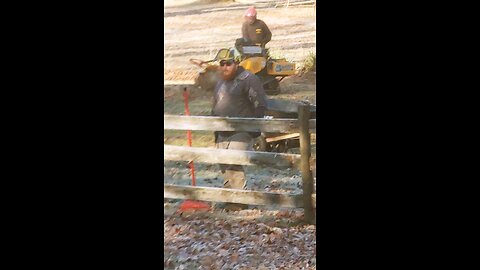 Tree felling