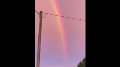 Gorgeous rainbow right after a Florida thunderstorm.