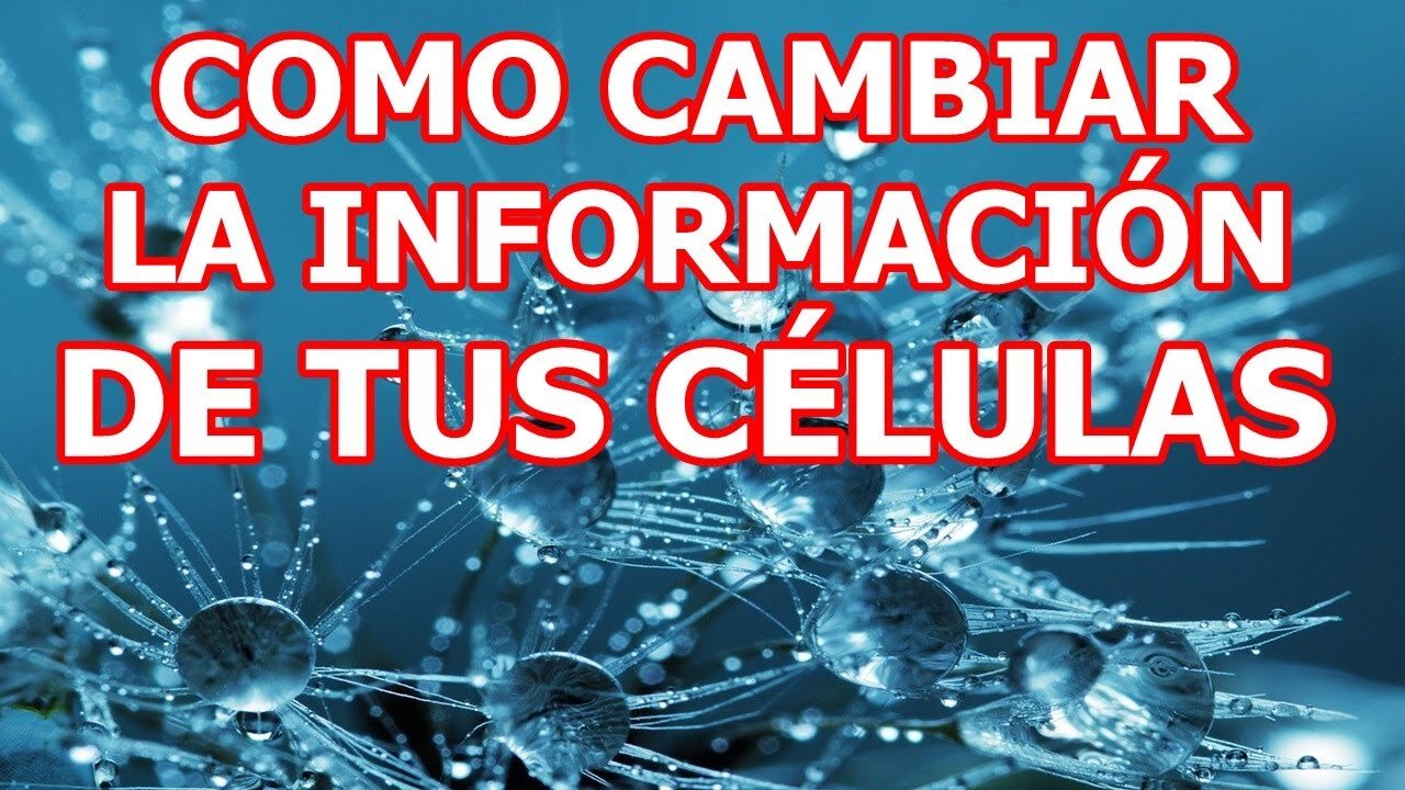 CAMBIA LA INFORMACIÓN DE TUS CÉLULAS PARA QUE CAMBIE TU SALUD Y TU VIDA