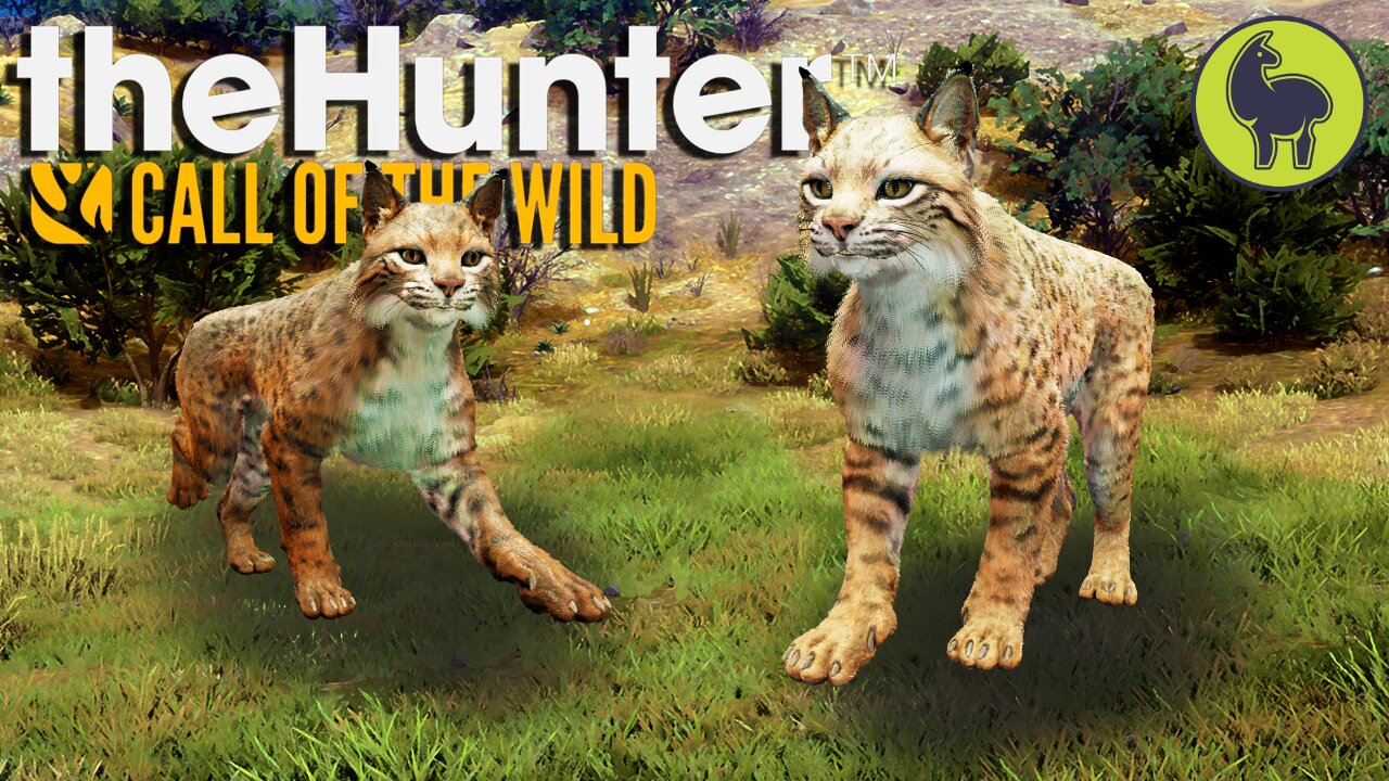 Hunted Hunters (mexican bobcat edition) Hunt Club Beta | theHunter: Call of the Wild (PS5 4K 60FPS)