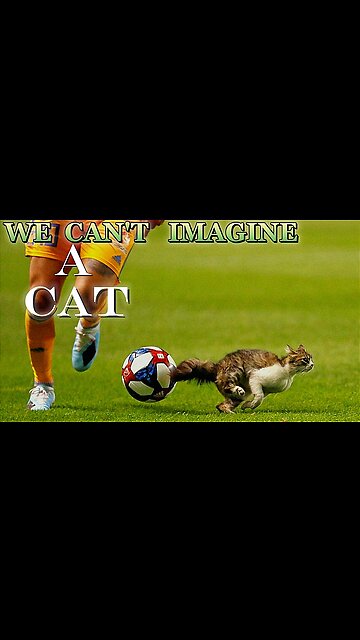 We can't imagine that a cat can do that🧐🙁 in Football game match | A cat can do anything.
