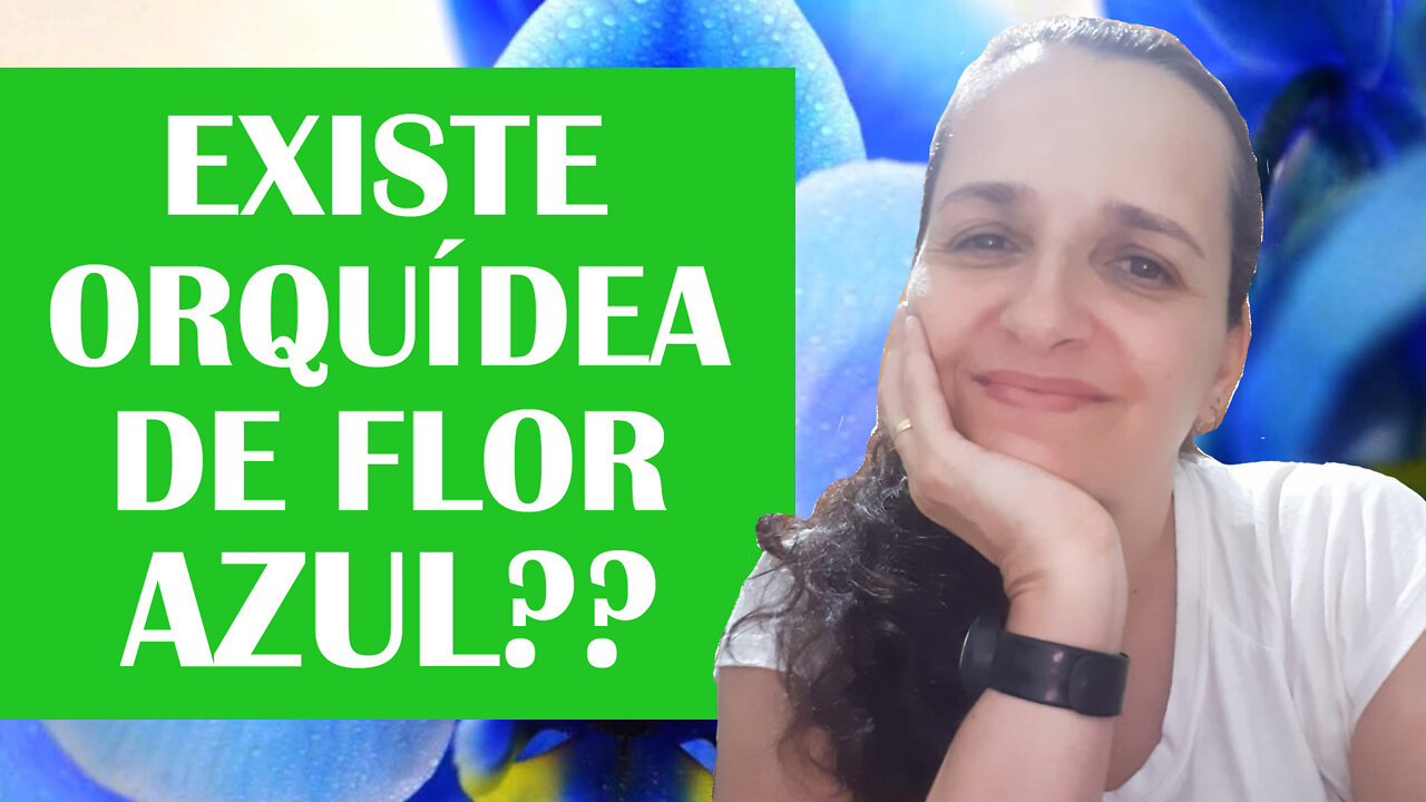 Existe ORQUÍDEA AZUL?? (REVELADO)