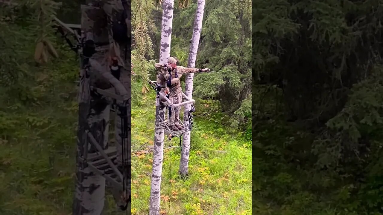 First day bow hunting for deer and elk #bowhunting #hunting #hunt #archery #bowhunt