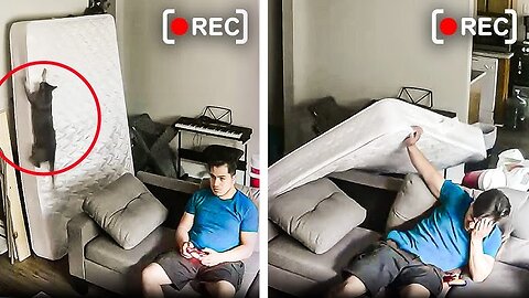Hilarious CCTV Security Cam Videos!