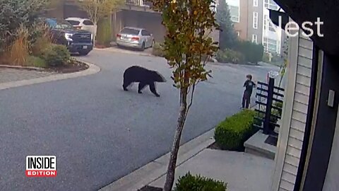 7 Year Old Encounters Massive Bear While Riding School