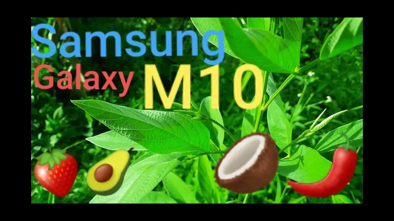 Filming vegetation with the galaxy m10 normal mode