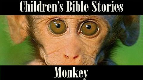 Children's Bible Stories-Monkey