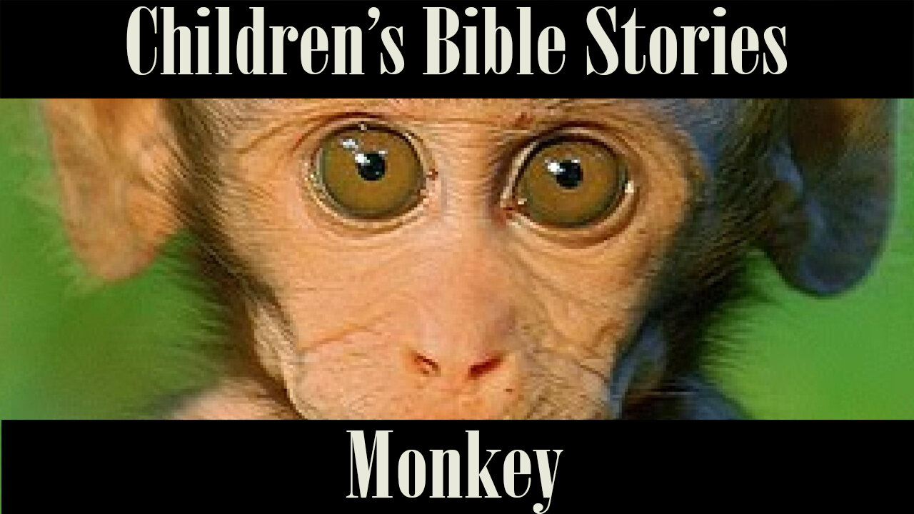 Children's Bible Stories-Monkey