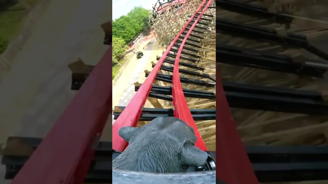 NEW Hersheypark’s Wildcat’s Revenge POV 🎢 #shorts