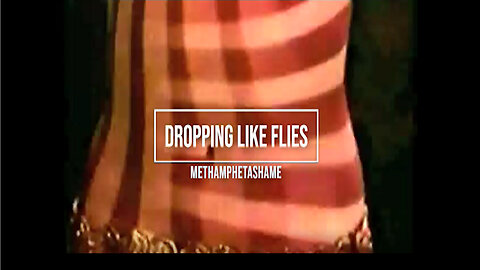 Dropping Like Flies - Methamphetashame