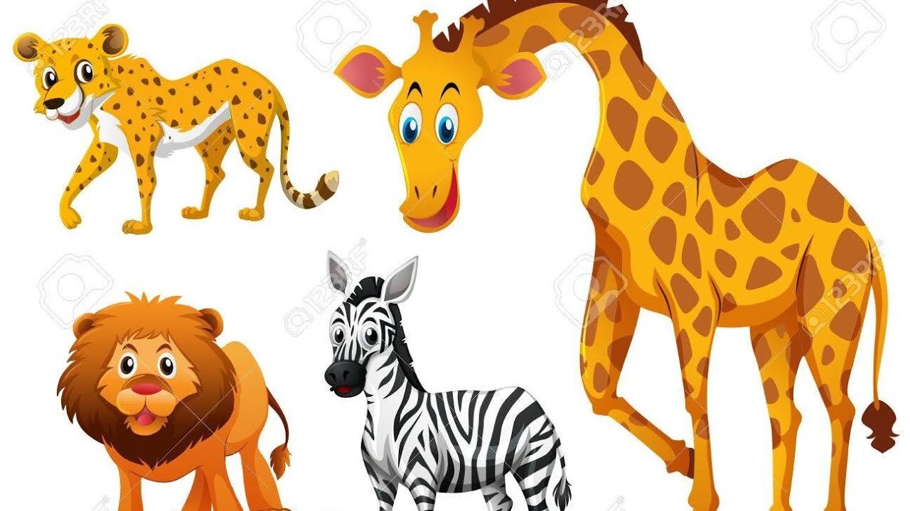 animal Learn Family Animals: Cat, Horse, Cow, Chicken, Duck - farm animals with sleeping music