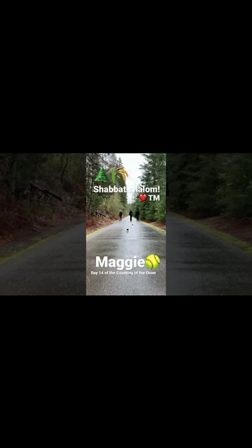 Shabbat shalom! Bowling in the woods! 🌾🌲🥎