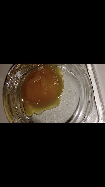 Gelato Cake Live Resin Drop To Violent P**nography -