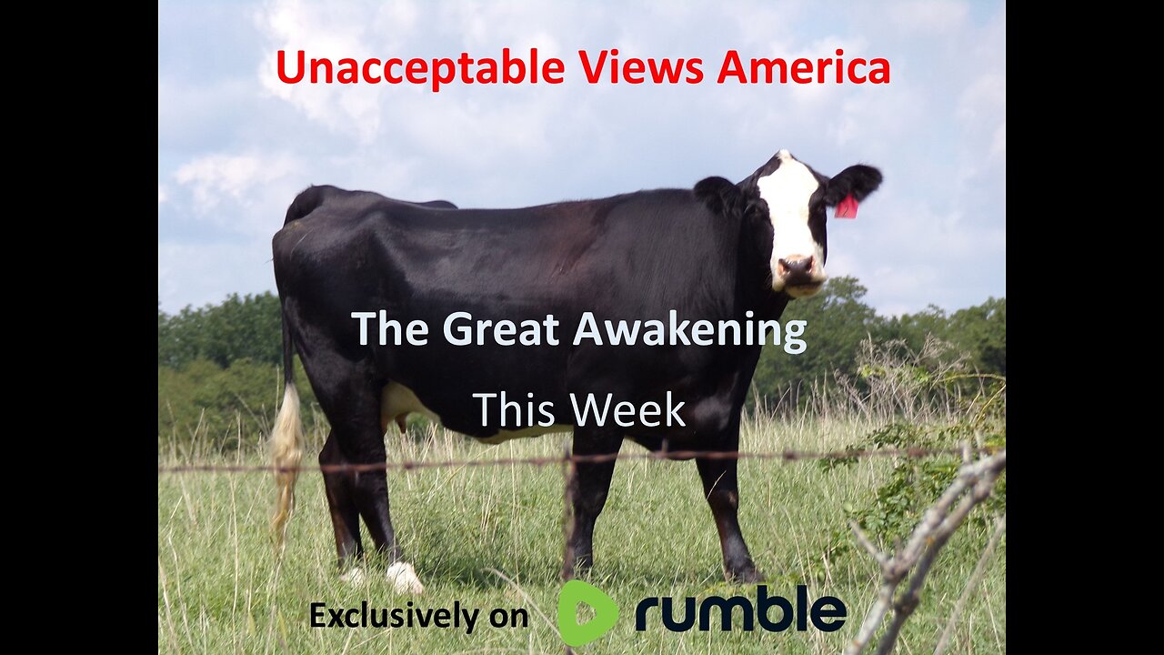 The Great Awakening This Week