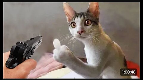 World Best Funniest🤑 Cat vs animal vs Kid 😃 Entertainment Don't Try Laughing 🤣 2024 clips 🫡