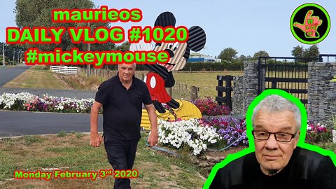 maurieos DAILY VLOG #1020 #mickeymouse