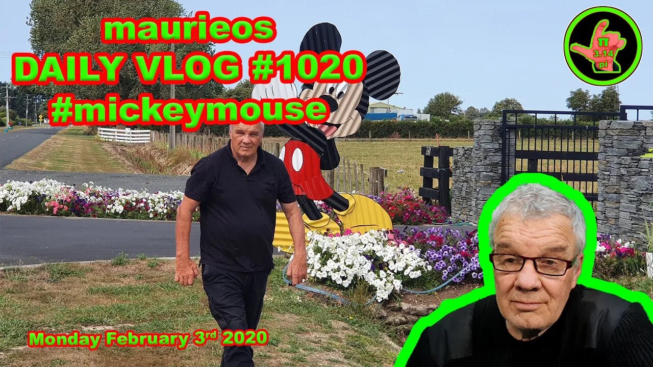 maurieos DAILY VLOG #1020 #mickeymouse