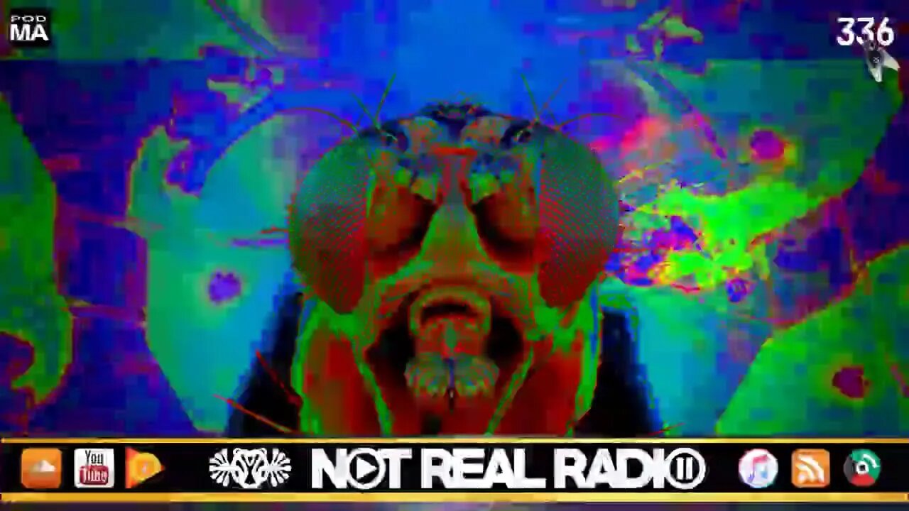 NRR336 - Swallowed a Fly