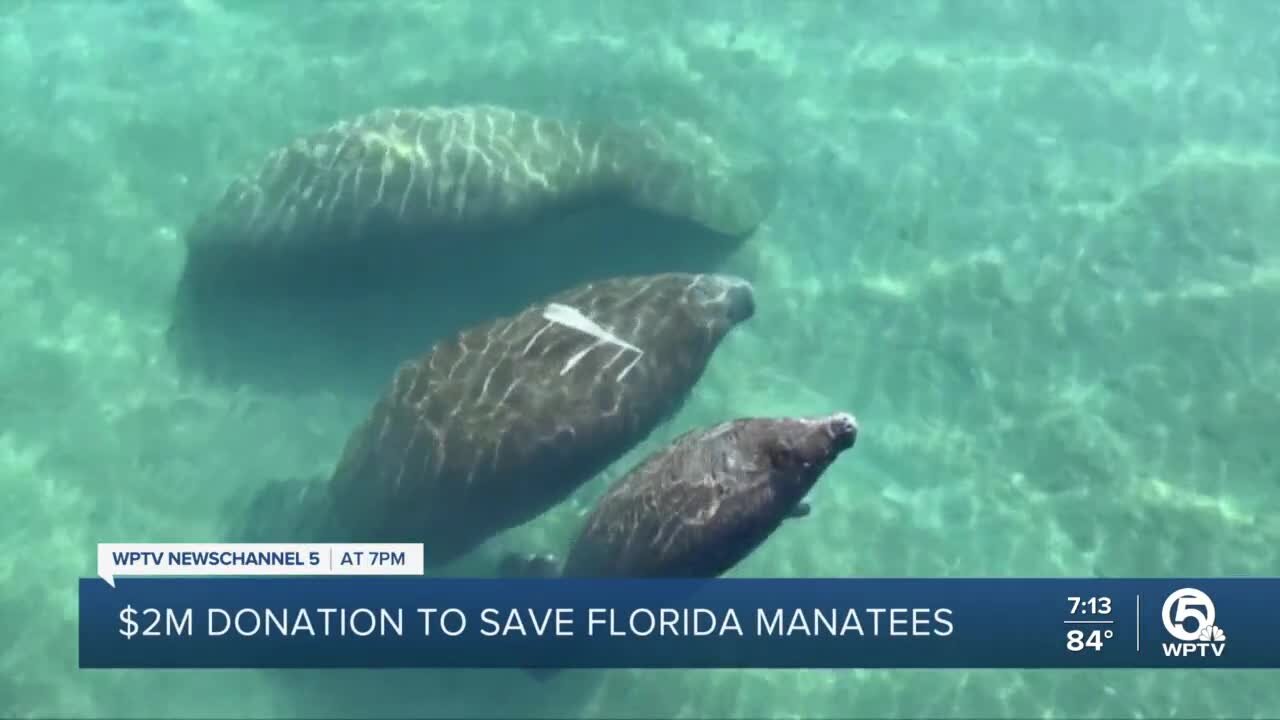 $2 million donation to save Florida manatees