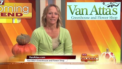 Van Atta's Greenhouse and Flower Shop - 9/20/21