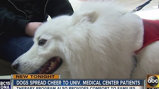Four-legged Santa bringing cheer to Valley patients