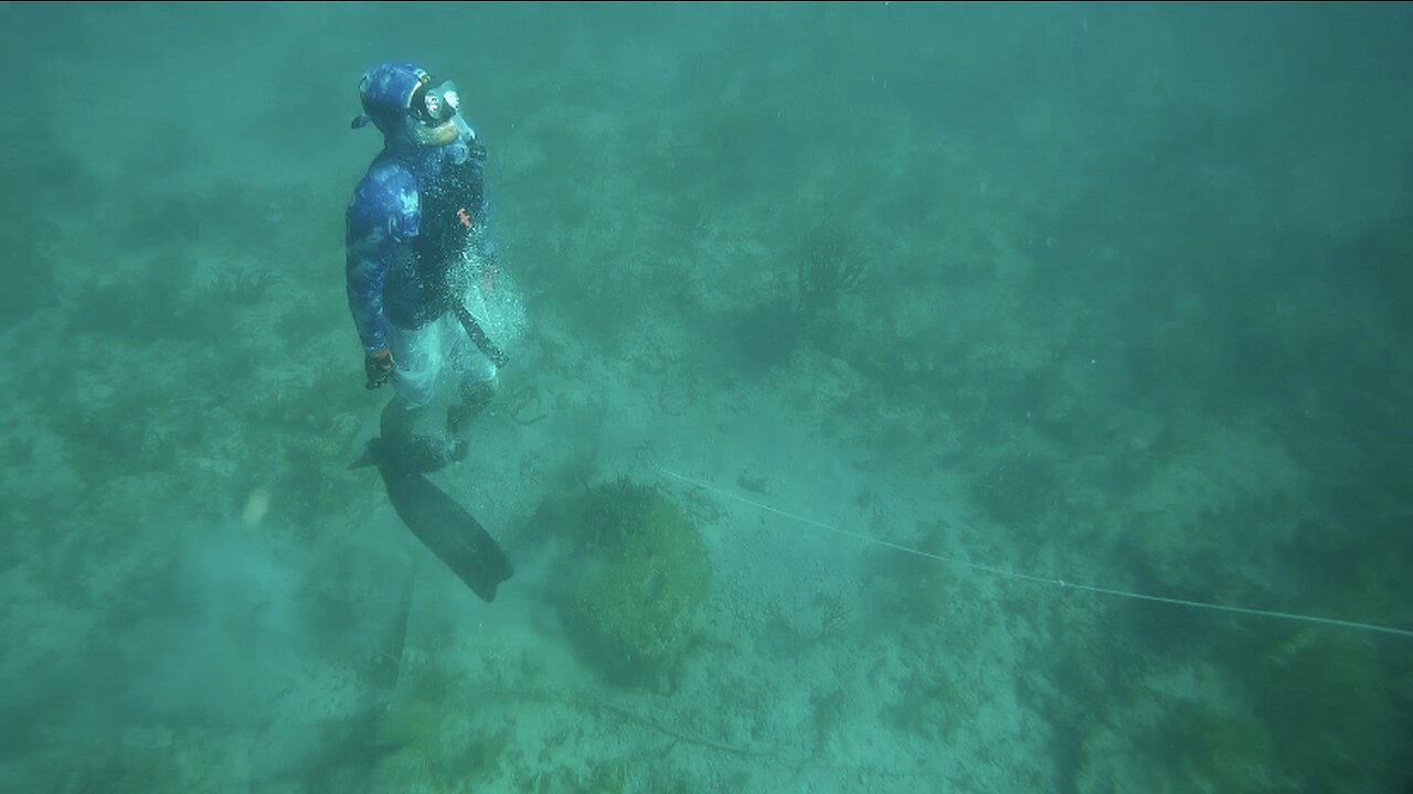 OceanManZiti