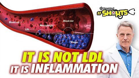 #SHORTS It is not LDL it is inflammation