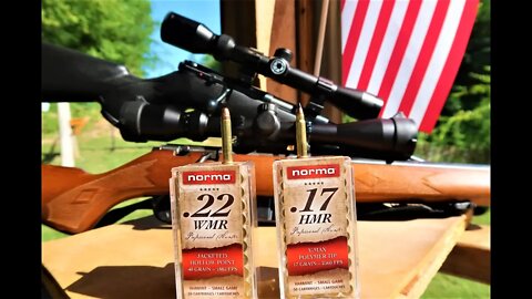 .22WMR VS .17HMR