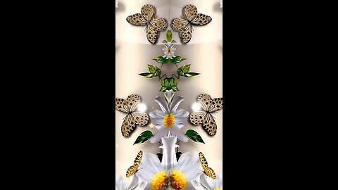 Children’s digital album academy 5