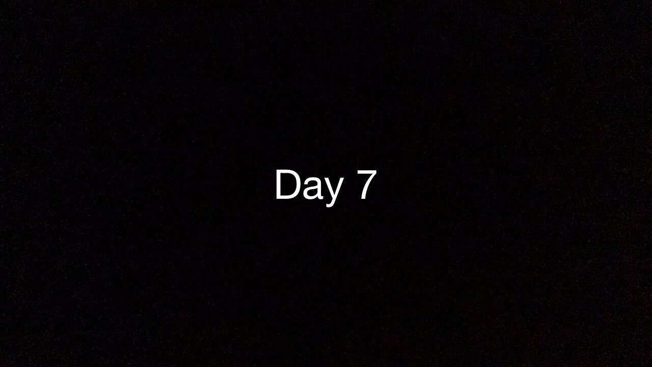 Day 7