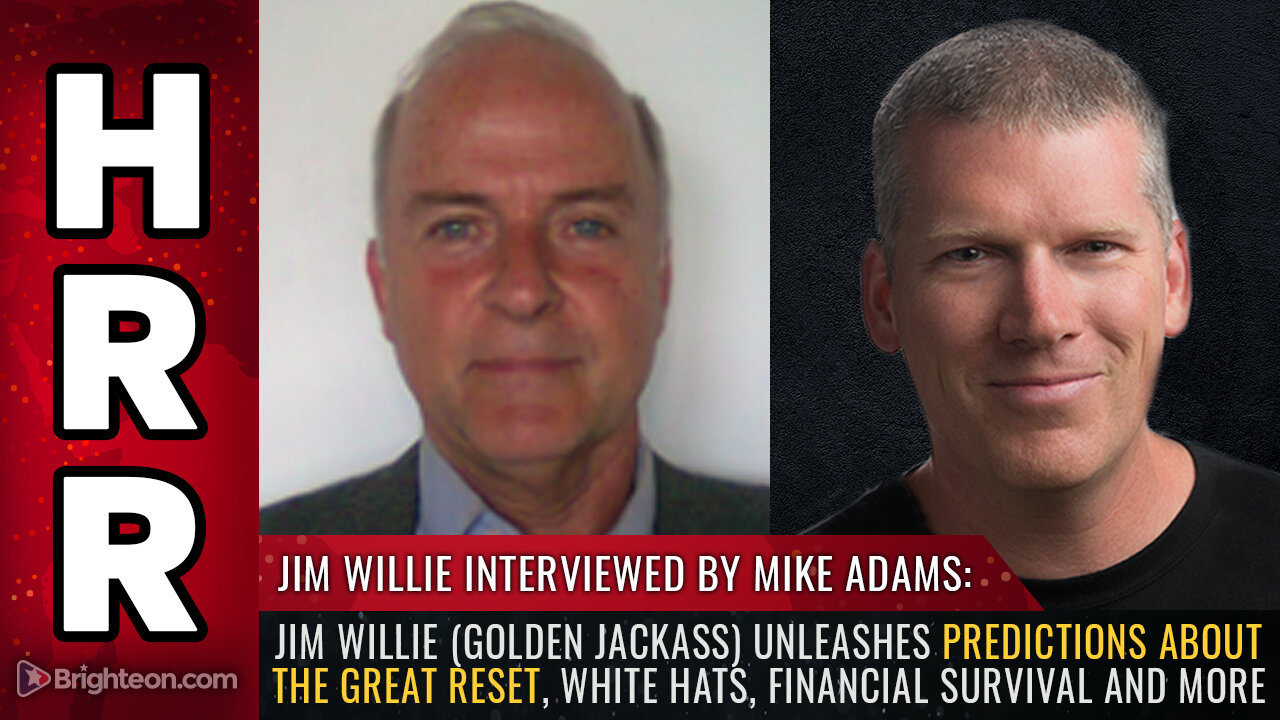 Jim Willie (Golden Jackass) unleashes PREDICTIONS about the great reset, white hats...