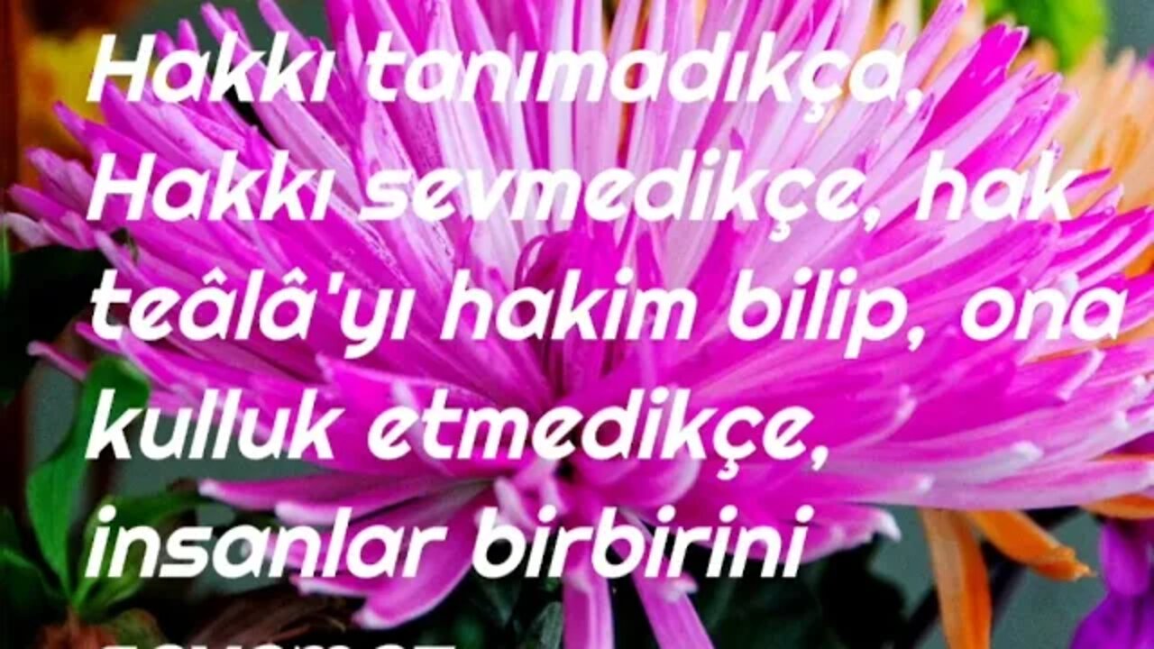 En güzel sözler-15