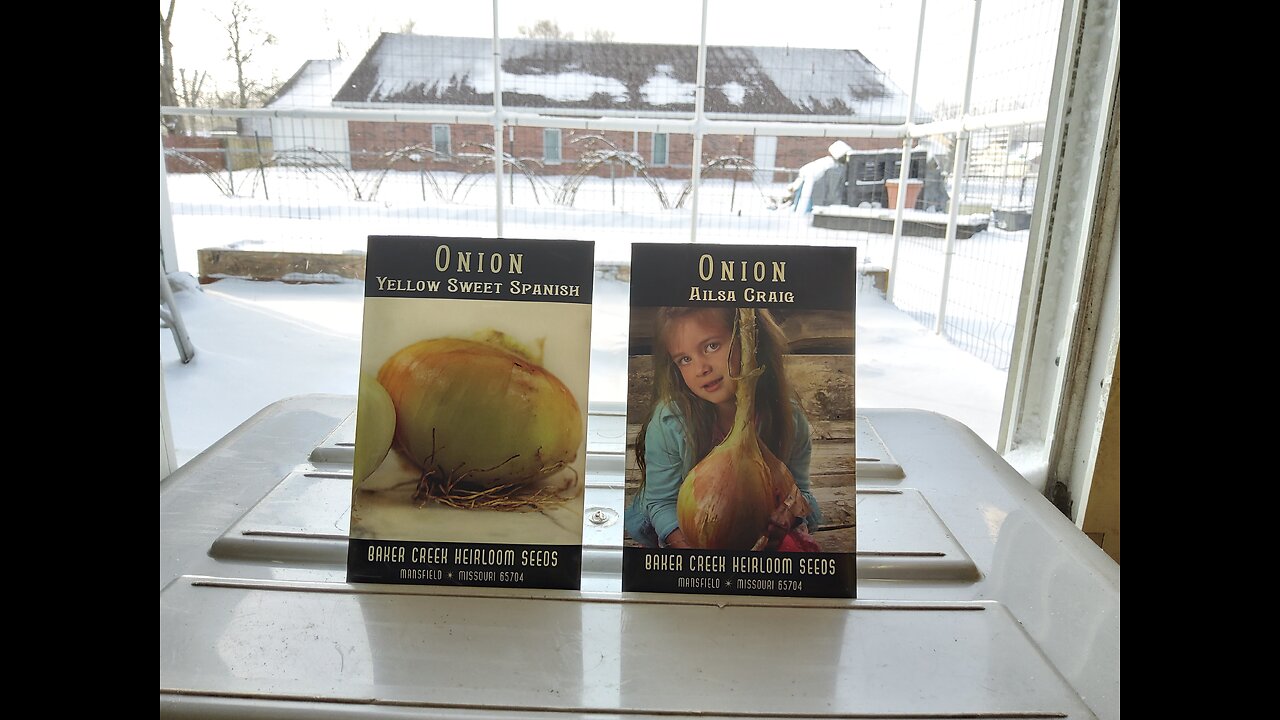 Onion Seed Planting Update 1/19/24