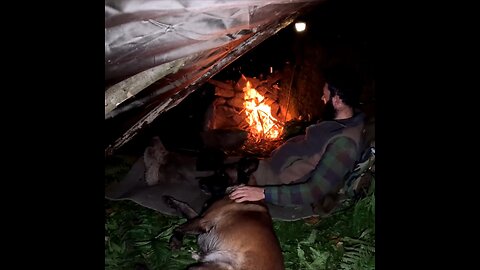 survival in the wildernes, outdoor cooking, forest adventure