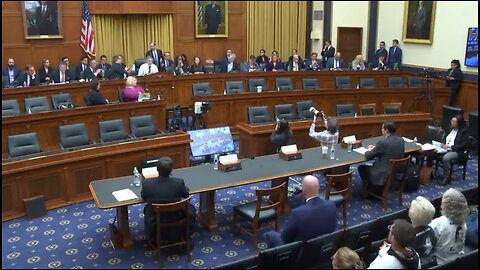 Chaos At Hearing As Dem Wants Witness Testimony Stricken From Record