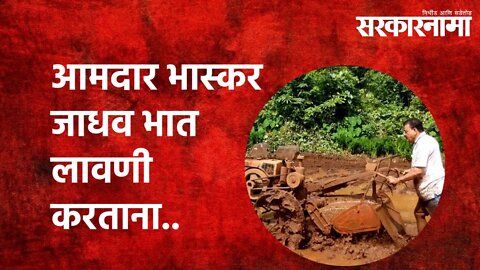 आमदार भास्कर जाधव भात लावणी करताना.. | MLA | Bhaskar Jadhav| Chiplun | Paddyplanting | Sarkarnama