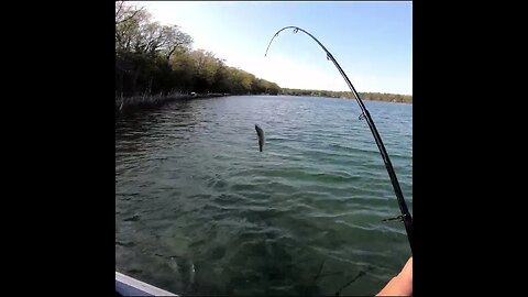 fishing in Michigan