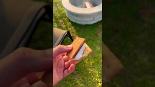 Making s’mores with celebration cookies