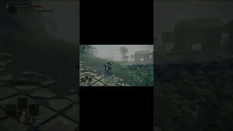 in elden ring, buddy's horse is invisible