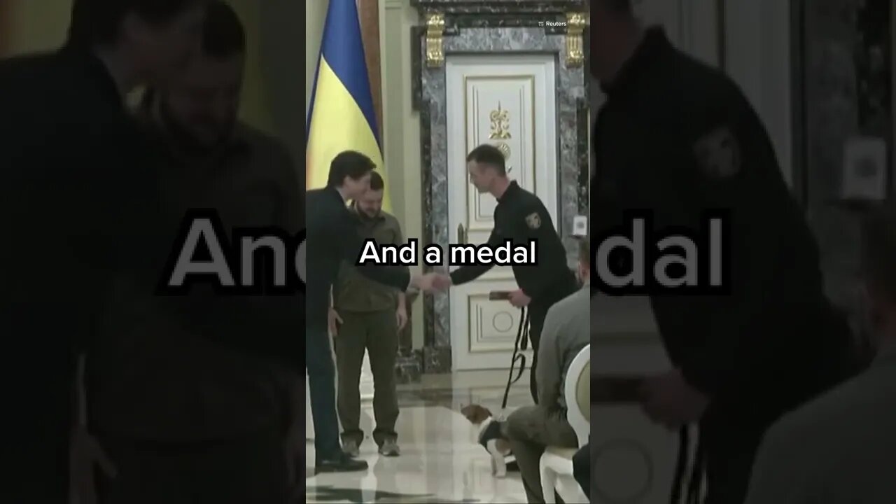 Zelenskyy awards bomb-sniffing dog