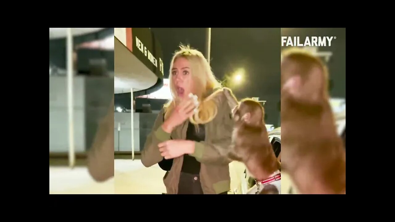 Monkey Attacks Woman! Fails of the Week