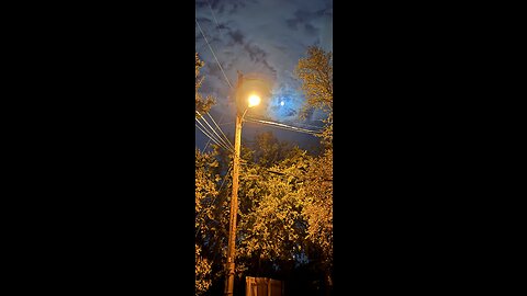 🎼🦁❤️😔📜😔❤️🦁🎼