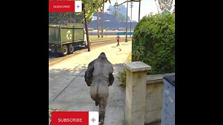 Gorilla