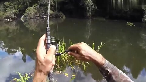 Fishing Diary 4 ~ Fishing in the wilderness jungle, the fish caught directly grilled to eat