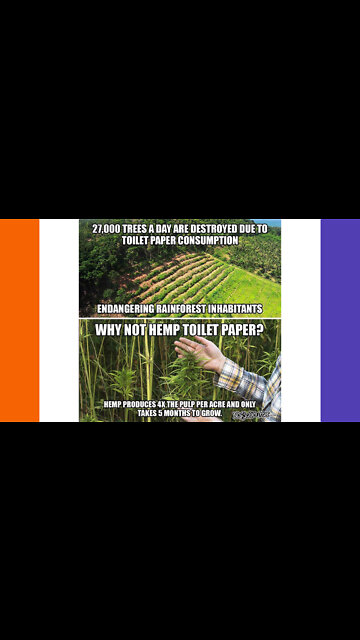 The Lumber Industry Lobbied Against Hemp