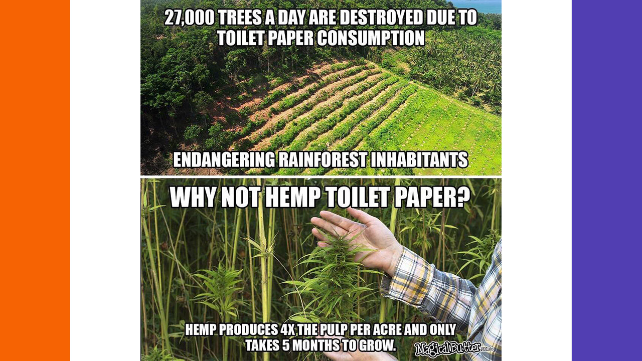 The Lumber Industry Lobbied Against Hemp