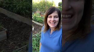 December Arizona Garden Tour