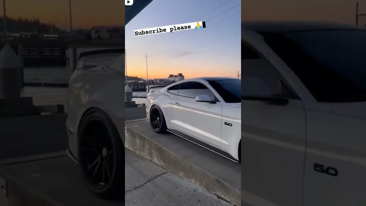 mustang view❤️❤️ #onepercent_clubb #mustang