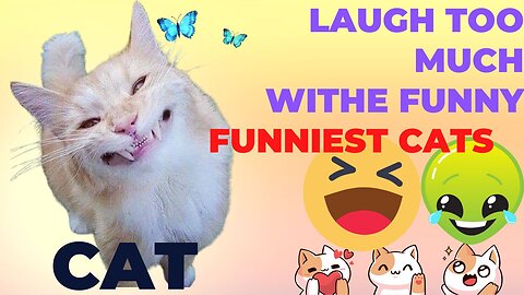 Funniest Cats 😹 don't try to laugh too much 😂