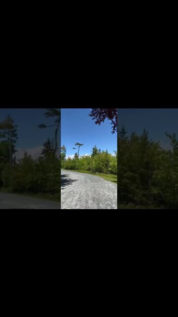 Walking through Point Pleasant Park in Halifax